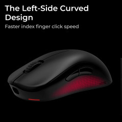 BenQ Zowie U2-DW 4K Souris Gaming sans Fil pour l’Esport | conçue Selon la Science du Sport | récepteur 4K amélioré | 60g | Desi