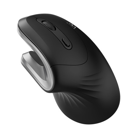Ewent Souris sans Fil Ergonomique, EW3154, Souris Optique à 6 Touches et Interrupteur Marche/arrêt, 3 DPI réglables, récepteur U