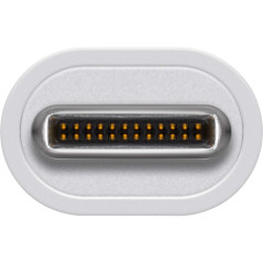 goobay 4 Adaptateur USB-C? multiport