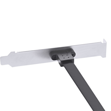 InLine® Façade Frontale USB Type C vers USB 3.1 Key-A Interne 0,3 m