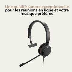 Jabra Evolve 30 II Casque Mono-Filaire certifié Unified Communications avec unité de contrôle d'appel, Microphone antibruit, ind