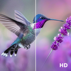 STRONG - Télévision 40 Pouces (100 cm) Full HD SRT40FG6733C - TV Connectée sous Android TV - Image Exceptionnelle - Triple Tuner
