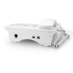 Geemarc PhotoPHONE 110 - Téléphone Fixe à Grosses Touches avec Volume de Réception Amplifié, Boutons Photo Personnalisables et H