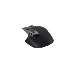 Rapoo I Souris sans Fil MT760MW, Souris Optique avec Adaptateur, 4000 dpi, 2,4 GHz, Batterie Rechargeable, Noir