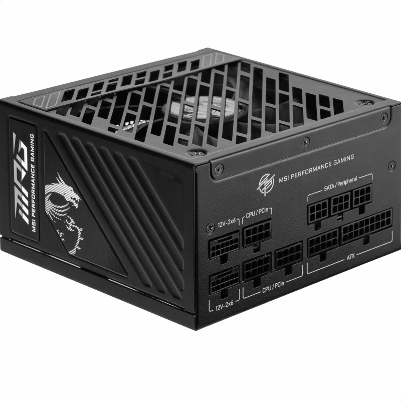 MSI MPG A1250GS PCIE5 Bloc d'alimentation Prise EU, 1250W, Certifié 80 Plus Gold, ATX 3.1, Compatible PCIe 5.1, Deux câbles 12V- MSI MPG A1250GS PCIE5 Bloc d'alimentation Prise EU, 1250W, Certifié 80 Plus Gold, ATX 3.1, Compatible PCIe 5.1, Deux câbles 12V-