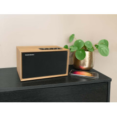 THOMSON Enceinte résidentielle en Bois Cosy, BT 5.3, 50 Watts, entrée 3.5mm