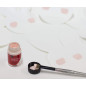 La Pajarita 422393 - Pittura non patinata acqua + pennello, colore varie -6 latte, 7 Pezzi La Pajarita 422393 - Pittura non patinata acqua + pennello, colore varie -6 latte, 7 Pezzi