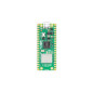 Raspberry Pi Pico 2W Raspberry Pi Pico 2W