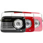 MADISON - FREESOUND-VR40B - Radio Vintage de 30W sur Batterie Longue autonomie avec Bluetooth, USB et FM - Noir MADISON - FREESOUND-VR40B - Radio Vintage de 30W sur Batterie Longue autonomie avec Bluetooth, USB et FM - Noir
