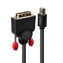 Lindy Câble actif Mini DisplayPort vers DVI-D, noir, 3m