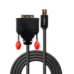Lindy Câble actif Mini DisplayPort vers DVI-D, noir, 3m