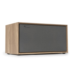 VULKKANO T40 Arc Enceinte Active avec 40W de Puissance, Woofer 4", Bluetooth 5.0, HDMI Arc, Optique, RCA, USB, Enceinte pour la