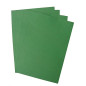 Pavo - Plats de couverture A4 grain cuir 250 g , Paquet de 100 - Vert forêt