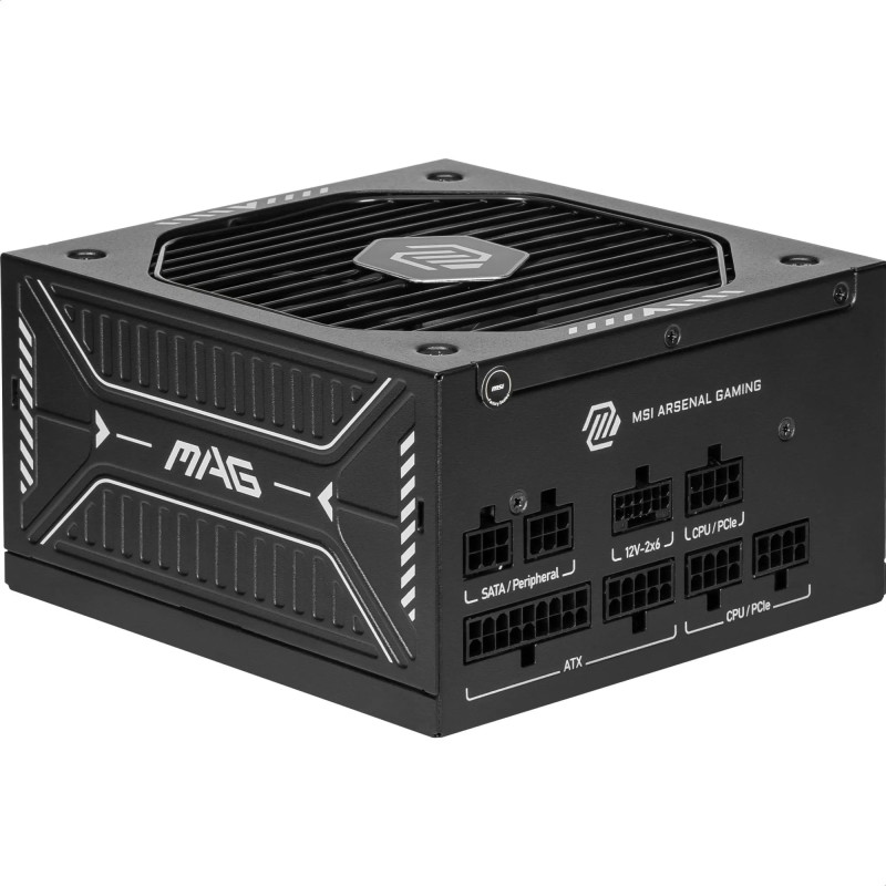 MSI MAG A650GLS PCIE5 Alimentation PC silencieuse, 650W, ATX, 80 Plus Gold, ATX 3.1, Compatible PCIe 5.1, Câbles gaufrés, Connec MSI MAG A650GLS PCIE5 Alimentation PC silencieuse, 650W, ATX, 80 Plus Gold, ATX 3.1, Compatible PCIe 5.1, Câbles gaufrés, Connec