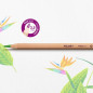 Crayons de couleur Milan Multicouleur 24 Pièces