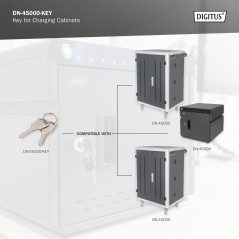DIGITUS Clé de Rechange pour armoires de Charge DN-45000, DN-45002 & DN-45005 - Deux pièces - Argenté