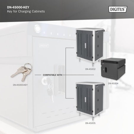 DIGITUS Clé de Rechange pour armoires de Charge DN-45000, DN-45002 & DN-45005 - Deux pièces - Argenté