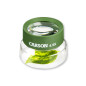 Carson BugLoupe loupe sur pied surdimensionnée pour l’inspection des insectes, grossissement de 4,5x (HU-55) Carson BugLoupe loupe sur pied surdimensionnée pour l’inspection des insectes, grossissement de 4,5x (HU-55)