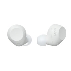 Sony WF-C710N - Écouteurs sans Fil à réduction de Bruit, écouteurs légers, Commandes tactiles, Connexion multipoint, IPX4, jusqu