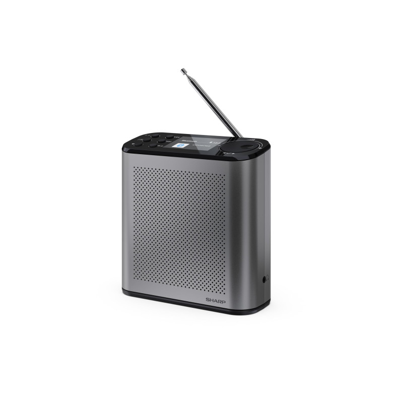 Sharp DR-P530(GY) Radio numérique Portable Osaka, Dab+, Dab et FM avec RDS, Bluetooth 5.3, écran Couleur 2,4", Alimentation USB-