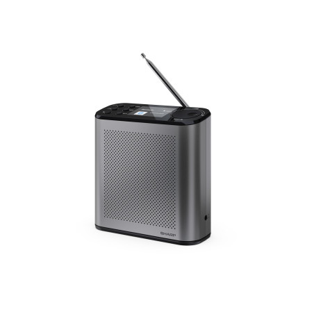 Sharp DR-P530(GY) Radio numérique Portable Osaka, Dab+, Dab et FM avec RDS, Bluetooth 5.3, écran Couleur 2,4", Alimentation USB-