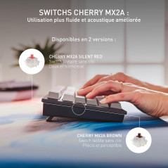 CHERRY KW 300 MX, Clavier Mécanique Compact Hot-Swap, Disposition Allemande (QWERTZ), Éclairage Blanc, pour Windows & Mac, Inter
