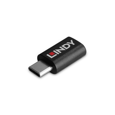LINDY - Bloc de données USB 3.2 Type C vers C 100 W