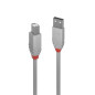 Lindy 36682 Câble USB 2.0 Type A vers B 1 M