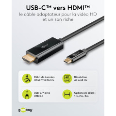 goobay Câble USB-C vers HDMI 2.0 - Connecteurs plaqués or - Résolutions Ultra HD jusqu'à 4 K @ 60 Hz - USB-C vers HDMI pour ordi