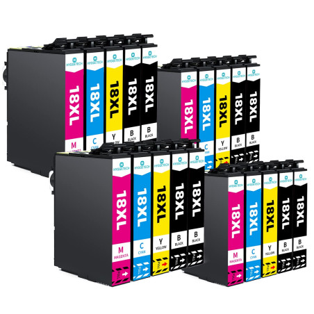 Hyggetech 18XL Cartouches d'encre de Rechange compatibles pour Cartouches Epson 18xl pour Epson Expression Home XP-202 XP-205 XP