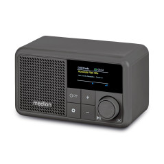 MEDION S66822 Radio Portable Mini Dab+ avec Bluetooth (Batterie Rechargeable, écran Couleur à intensité Variable, antenne télesc