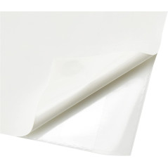 Durable 828019 Boite de 100 Pochettes adhésives pour CD/DVD CD/DVD