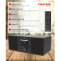 TELESTAR Top 300 – Radio Dab+/Internet avec Lecteur CD (stéréo, 2 × 15 W, Services de Streaming, Bluetooth Audio-Streaming & Fon