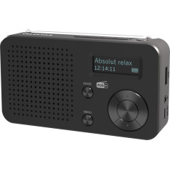 TELESTAR Top 100 – Radio Portable Dab Plus -FM (Batterie Interchangeable, Jusqu’à 15 Heures d’autonomie, Temps de Charge Court,