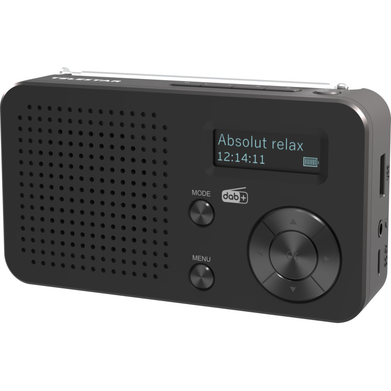 TELESTAR Top 100 – Radio Portable Dab Plus -FM (Batterie Interchangeable, Jusqu’à 15 Heures d’autonomie, Temps de Charge Court, TELESTAR Top 100 – Radio Portable Dab Plus -FM (Batterie Interchangeable, Jusqu’à 15 Heures d’autonomie, Temps de Charge Court,