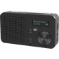 TELESTAR Top 100 – Radio Portable Dab Plus -FM (Batterie Interchangeable, Jusqu’à 15 Heures d’autonomie, Temps de Charge Court, TELESTAR Top 100 – Radio Portable Dab Plus -FM (Batterie Interchangeable, Jusqu’à 15 Heures d’autonomie, Temps de Charge Court,