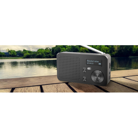 TELESTAR Top 100 – Radio Portable Dab Plus -FM (Batterie Interchangeable, Jusqu’à 15 Heures d’autonomie, Temps de Charge Court,