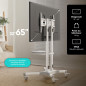 ONKRON Support TV roulettes avec Etagere pour 32-65 Pouces TV, Meuble TV Roulette Poids de 45 kg - Ecran sur Pied Mobile VESA 10 ONKRON Support TV roulettes avec Etagere pour 32-65 Pouces TV, Meuble TV Roulette Poids de 45 kg - Ecran sur Pied Mobile VESA 10