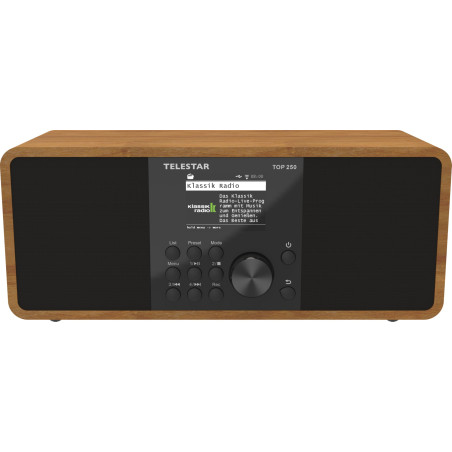 TELESTAR Top 250 – Radio Dab+/Internet (stéréo, 2 × 10 W, Bluetooth Audio-Streaming & Fonction d’Envoi, Enregistrement USB, syst