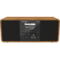 TELESTAR Top 250 – Radio Dab+/Internet (stéréo, 2 × 10 W, Bluetooth Audio-Streaming & Fonction d’Envoi, Enregistrement USB, syst