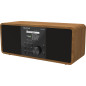 TELESTAR Top 250 – Radio Dab+/Internet (stéréo, 2 × 10 W, Bluetooth Audio-Streaming & Fonction d’Envoi, Enregistrement USB, syst