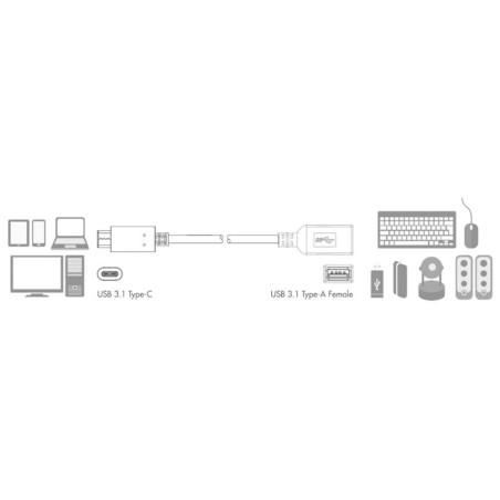 LogiLink CU0098 USB 3.1 Gen1 Adapter, USB-C male to Type A female