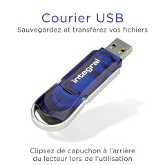Integral Clé USB 128 Go Clé USB 2.0 Courier Blue