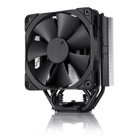 Noctua NH-U12S chromax.black, Ventirad CPU 120mm Simple Tour (Noir)