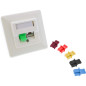 InLine 59942K Câble Ethernet Rouge
