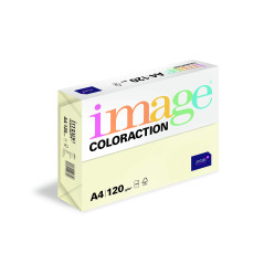 IMAGE Coloraction 838A 120S 2 Antalis Papier couleur A4 120 g/m² Ivoire/2 (Import Allemagne)