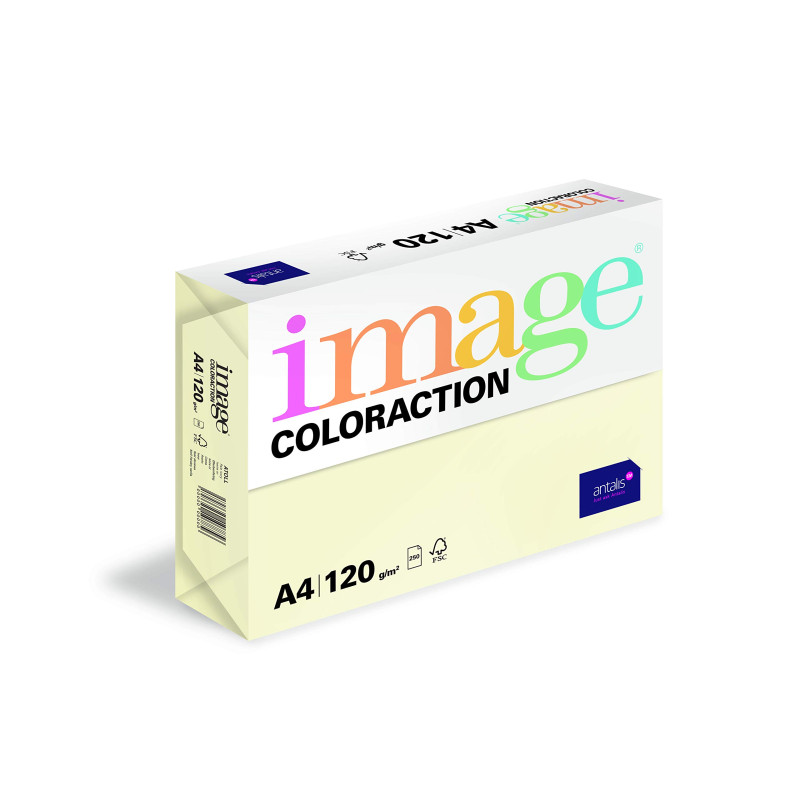 IMAGE Coloraction 838A 120S 2 Antalis Papier couleur A4 120 g/m² Ivoire/2 (Import Allemagne) IMAGE Coloraction 838A 120S 2 Antalis Papier couleur A4 120 g/m² Ivoire/2 (Import Allemagne)