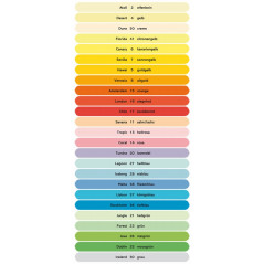 IMAGE Coloraction 838A 120S 2 Antalis Papier couleur A4 120 g/m² Ivoire/2 (Import Allemagne)