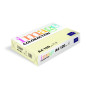 IMAGE Coloraction 838A 120S 2 Antalis Papier couleur A4 120 g/m² Ivoire/2 (Import Allemagne) IMAGE Coloraction 838A 120S 2 Antalis Papier couleur A4 120 g/m² Ivoire/2 (Import Allemagne)