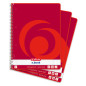 Herlitz 11163946 Cahier spirale A4 Carreaux/marges droite/gauche 70 g/m² 320 p Lot de 3 (Import Allemagne) Herlitz 11163946 Cahier spirale A4 Carreaux/marges droite/gauche 70 g/m² 320 p Lot de 3 (Import Allemagne)